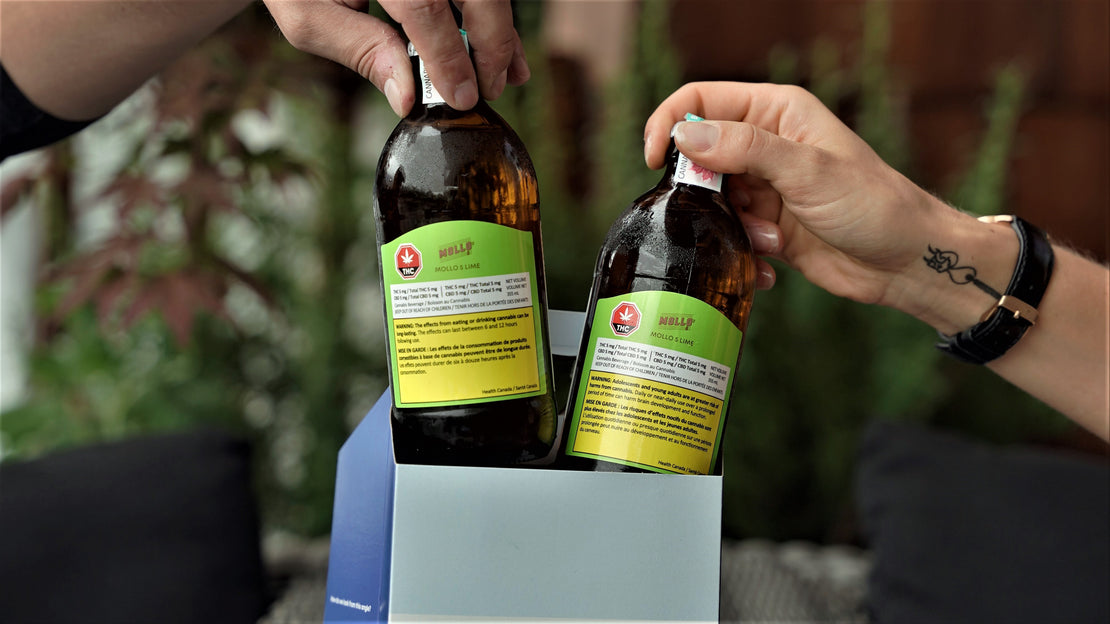 Cannabis edibles including gummies, chocolates and infused beverages available at THIS IS CANNABIS